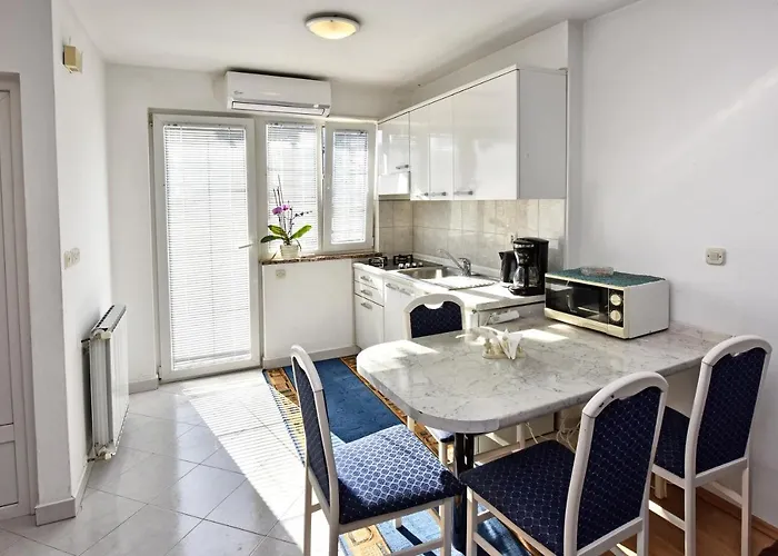 And Fun Ranka بوريتش